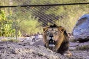 Skip The Line : Nahargarh Biological Park Tour, Jaipur