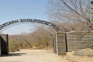 Skip The Line : Nahargarh Biological Park Tour, Jaipur