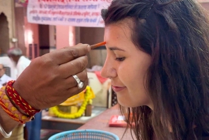 Jaipurin temppelikierros köysirata-ajelulla