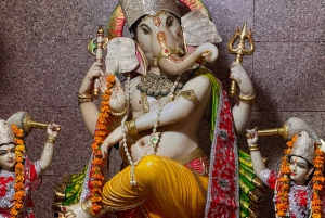 Jaipurin temppelikierros köysirata-ajelulla