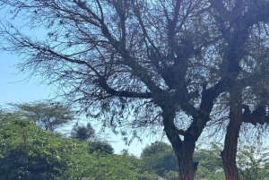 Traditionell lerkonst och landsbygdsäventyr med jeep eller cykel
