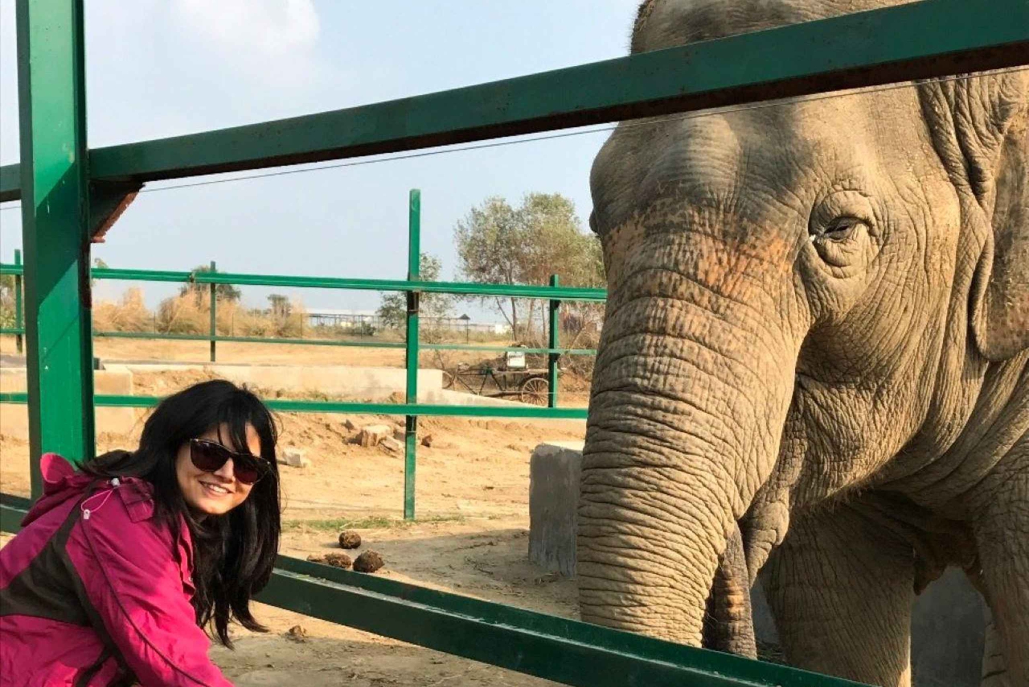 Wildlife SOS Elephant Sanctuary & Taj Mahal Tour из Дели