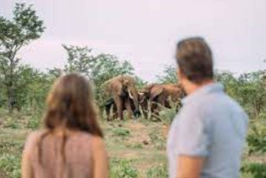Wildlife SOS Elephant Sanctuary & Taj Mahal Tour from Delhi