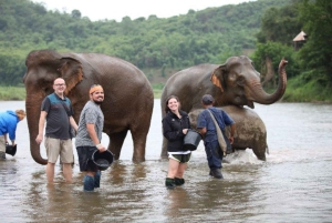 Wildlife SOS Elephant Sanctuary & Taj Mahal Tour из Дели