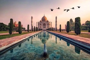 Wildlife SOS Elephant Sanctuary & Taj Mahal Tour из Дели