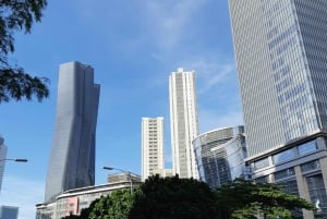 A day casual walking tour in The City of Jakarta