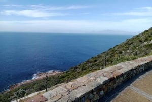 Tour privato di un giorno tra pinguini, Cape Point e Table Mountain