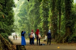 Bogor: Into The Wild Tour