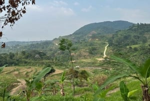 Bogor: Trekkingtur till gröna kullar och friska vattenfall