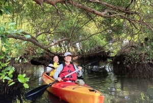 Canoeing Mangrove Experience in Jakarta