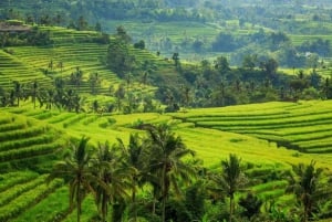 Indonésie : Visite privée personnalisable avec chauffeur et eau