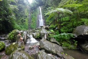 Excursión de un día Bogor Yakarta Cascada Todo Incluido - Guía de Turismo