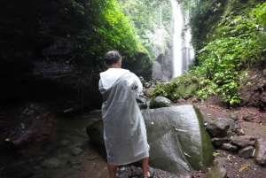 Bogor Jakarta : Escursione di un giorno alle cascate All In - Guida turistica