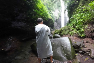 Excursión de un día Bogor Yakarta Cascada Todo Incluido - Guía de Turismo