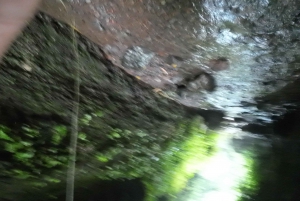 Bogor Jakarta : Escursione di un giorno alle cascate All In - Guida turistica