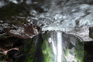 Viagem de 1 dia para Bogor Jakarta Cachoeira Tudo incluído - Guia de turismo