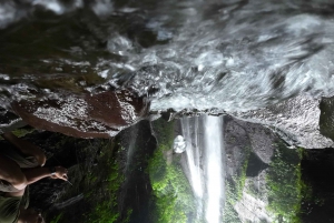 Bogor Jakarta : Escursione di un giorno alle cascate All In - Guida turistica