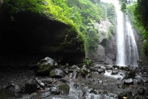 Day Trip Bogor Jakarta Waterfall All In - Tour Guide