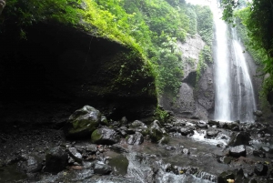 Bogor Jakarta : Escursione di un giorno alle cascate All In - Guida turistica