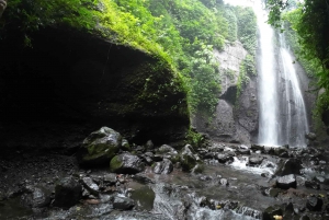 Excursión de un día Bogor Yakarta Cascada Todo Incluido - Guía de Turismo