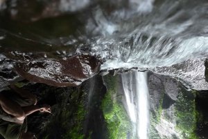 Bogor Jakarta : Escursione di un giorno alle cascate All In - Guida turistica