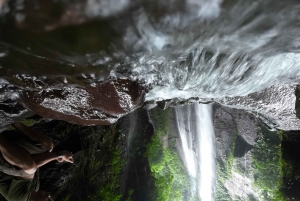 Excursión de un día Bogor Yakarta Cascada Todo Incluido - Guía de Turismo