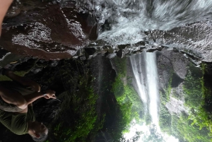 Bogor Jakarta : Escursione di un giorno alle cascate All In - Guida turistica