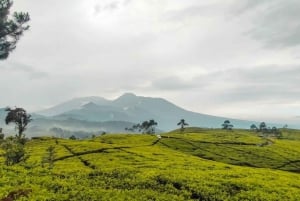 Fast Train From Jakarta To Bandung With Airport Pickup