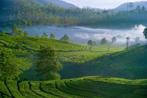 From Bali: 10-Day Tour of Java's Highlights with Lodging