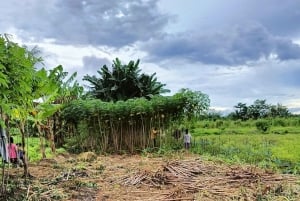 Depuis Jakarta : Excursion d'une journée dans la tribu des Baduy avec déjeuner