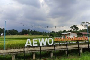 From Jakarta : Bogor Botanical Garden and Rice Fields Tour