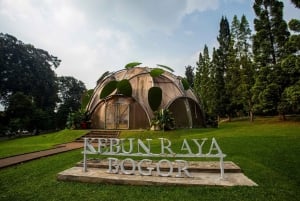 From Jakarta: Bogor Botanical Gardens, with all Artists