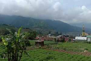 De Jacarta : Planalto do Monte Dieng 4 dias e 3 noites