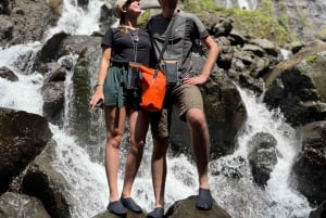 From Jakarta or Bali: Yogyakarta, Java Bali Higlight Tour