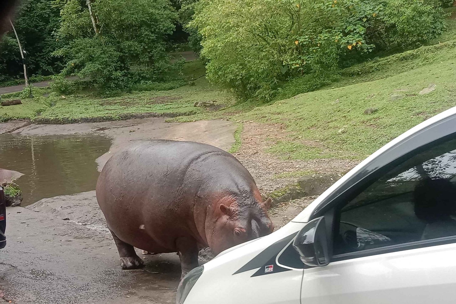 From Jakarta Private Taman Safari Day Tour (All Included)