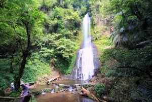 Från Jakarta: Safaripark, teplantage och vattenfallet Jaksa