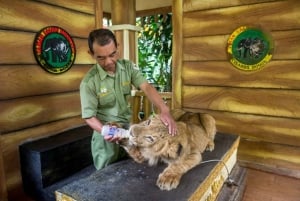 Fra Jakarta: Safaripark, teplantasje og Jaksa-fossen