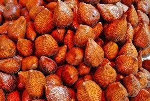 Fra Jakarta : Vulkan, te- og rismarker, varme kilder