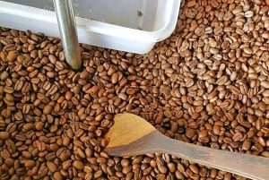 Fra Jakarta : Vulkan, te- og rismarker, varme kilder