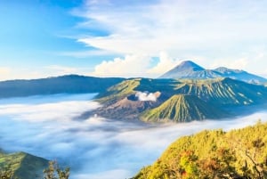 Yogyakarta, Borobudur, Bromo, Ijen & Bali Tour