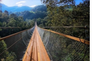 Jakarta : 2-Day Bandung Tour with Airport Pickup