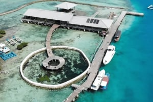 Jakarta: Yksityinen jahtimatka Asha Resortiin ja saarihyppely