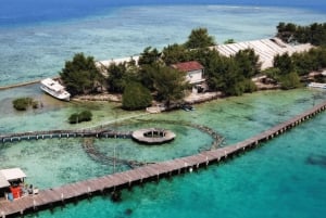 Jakarta: Yksityinen jahtimatka Asha Resortiin ja saarihyppely