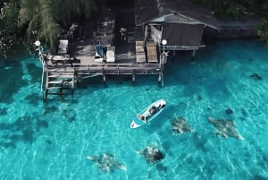 Heldags øhop med privat båd – Delfin, Ponco, Asha