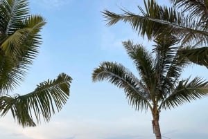 Jakarta: Ancol en Pantai Indah Kapuk | Meertalige gids