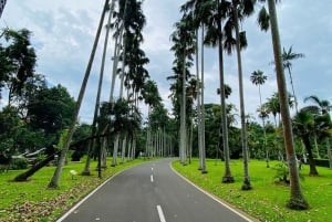 Jakarta: Bogor botaniske hage, fjellkilder og risfelt
