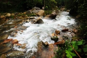Jacarta: Jardim Botânico de Bogor, Mountain Springs&Rice Field