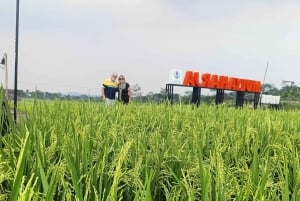 Botanische tuin Jakarta Bogor, rijstterras en waterval