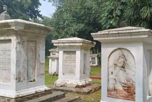 Botanische tuin Jakarta Bogor, rijstterras en waterval