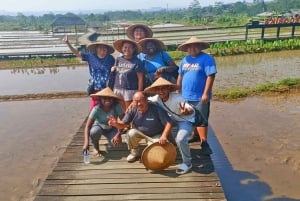 Botanische tuin Jakarta Bogor, rijstterras en waterval